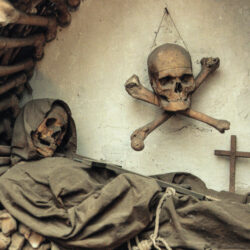 Contemplation in a Capuchin Crypt…