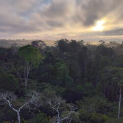 Adventurous Amazonia